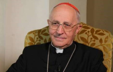 Formasi di Propaganda Fide untuk Gereja-Gereja&nbsp;Lokal