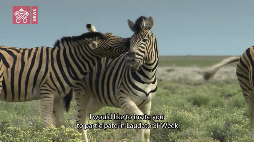 “Dunia Seperti Apa yang Ingin Kita Tinggalkan bagi Anak-Anak&nbsp;Kita?”