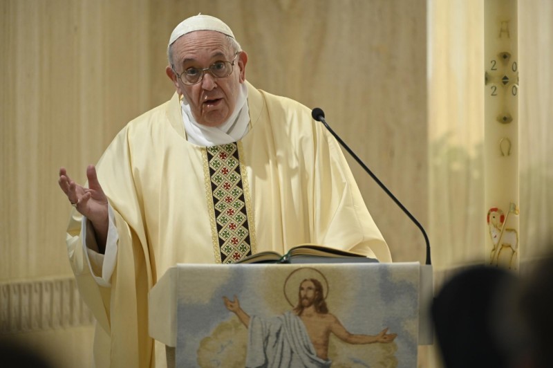 Timbal balik antara pokok anggur dan cabang-cabangnya.