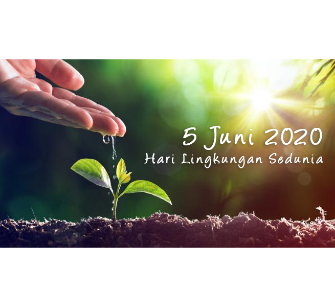 Surat Bapa Suci Paus Fransiskus Kepada Presiden Republik Columbia Dalam rangka Hari Lingkungan&nbsp;Sedunia