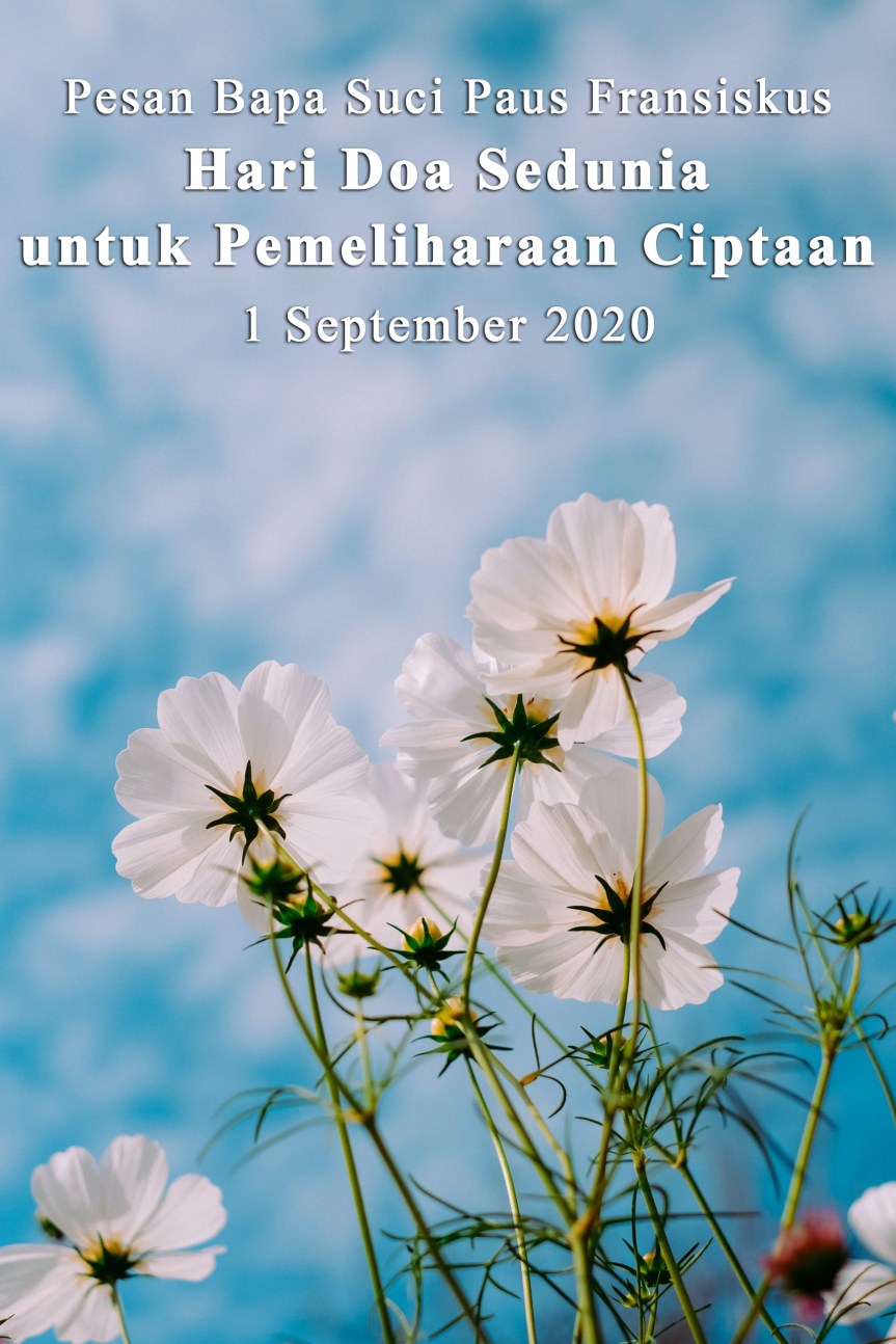 Pesan Bapa Suci Paus Fransiskus pada Hari Doa Sedunia untuk Pemeliharaan&nbsp;Ciptaan